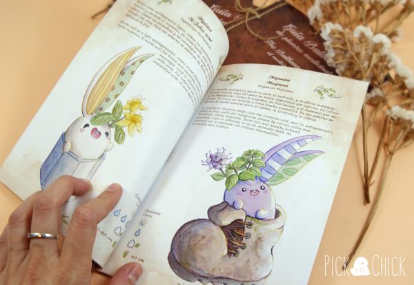 libro guia de plantas medicinales ilustrada fanzine kawaii