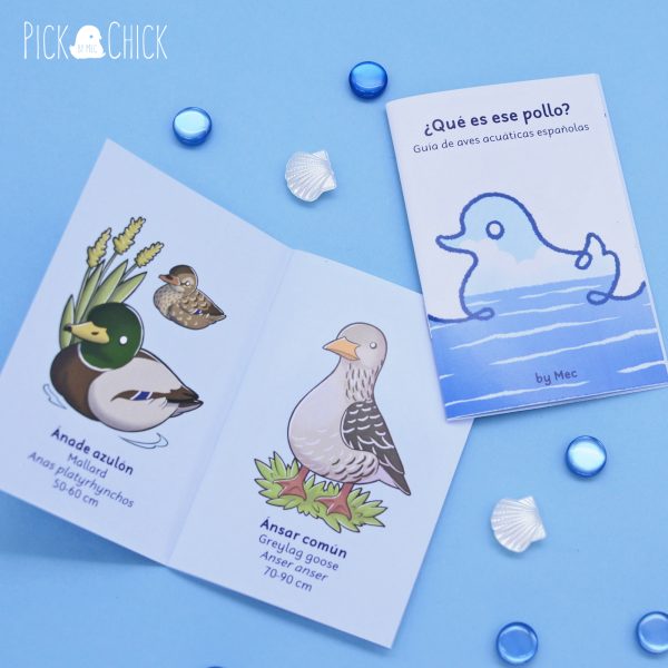 Fanzine ¿Qué es ese pollo? Guía de aves acuáticas españolas - Imagen 4